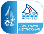 nc2011-logo-final