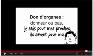 don-organe-video-web