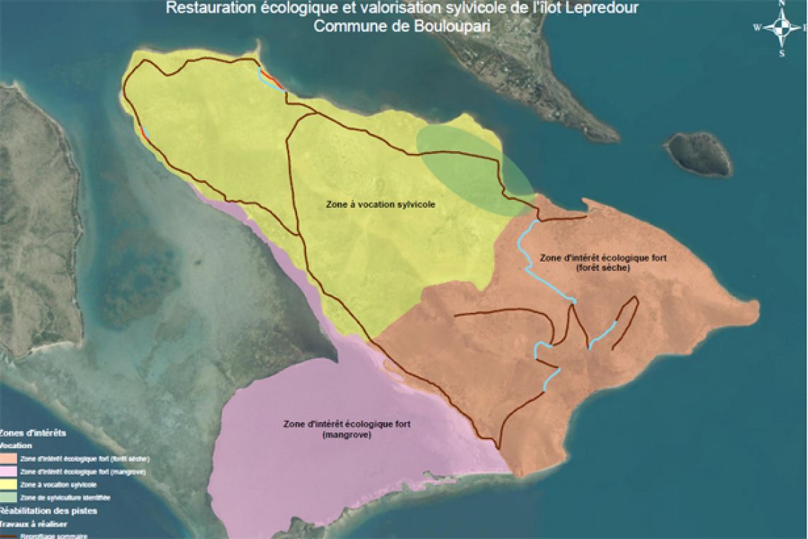 Des plantations de forêt sèche ont déjà été effectuées. La Saem Sud Forêt assurera le reboisement de l’îlot, notamment sur la partie Nord destinée à la sylviculture. 