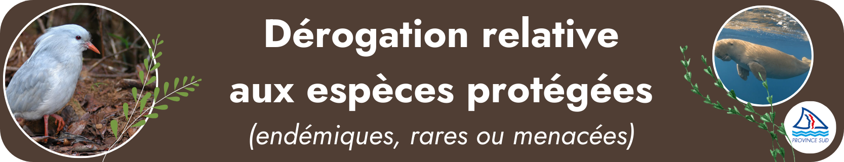 Dérogation relative aux espèces protégées (endémiques, rares ou menacées)