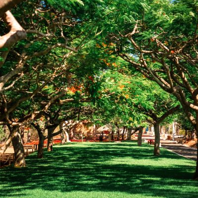 Les jardins du PPZF