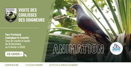 Visite des coulisses des soigneurs