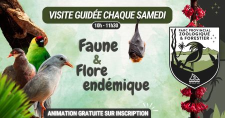 Faune & Flore endémique : visite guidée au Parc Provincial Zoologique et Forestier