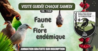 Faune & Flore endémique : visite guidée au Parc Provincial Zoologique et Forestier, le dimanche Août 03 2025 Faune & Flore endémique : visite guidée au Parc Provincial Zoologique et Forestier