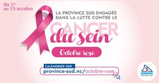 Octobre rose, le mercredi Jan 10 2024 Octobre rose