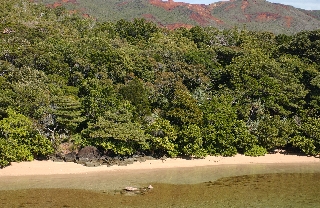 Photo de l'aire protégée : 8a818603679fb79b0167a13718780008 Communes : Mont-Dore parMartial Dosdane 