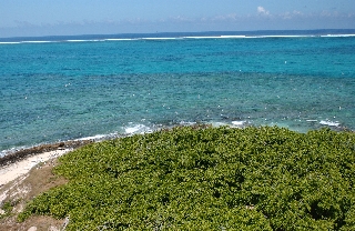 Photo de l'aire protégée : 8a818603679fb79b0167a1372afa004e Communes : La Foa parProvince Sud 