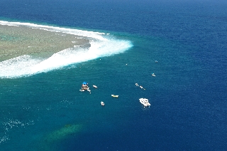 Photo de l'aire protégée : 8a818603679fb79b0167a1372d72005c Communes : La Foa parProvince Sud 