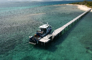 Photo de l'aire protégée : 8a818603679fb79b0167a1372db1005e Communes : Nouméa parProvince Sud 