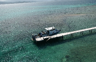 Photo de l'aire protégée : 8a818603679fb79b0167a1372db1005e Communes : Nouméa parProvince Sud 