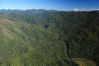 Photo de l'aire protégée : 8a818603679fb79b0167a1372bd30052 Communes : Dumbéa parProvince Sud 