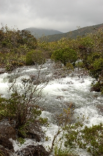 Photo de l'aire protégée : 8a818603679fb79b0167a137298f0046 Communes : Yaté parMartial Dosdane 
