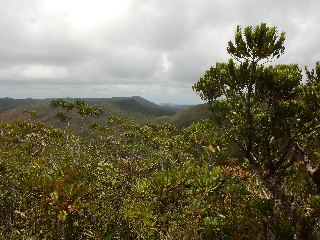 Photo de l'aire protégée : 8a818603679fb79b0167a1371f20001e Communes : Yaté par 