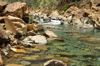 Photo de l'aire protégée : 8a818603679fb79b0167a1371dc10018 Communes : Dumbéa parDominique Garnier 