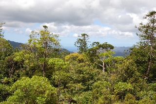 Photo de l'aire protégée : 8a818603679fb79b0167a13729230042 Communes : Yaté par 