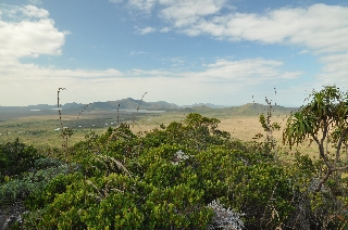 Photo de l'aire protégée : 8a818603679fb79b0167a1371a23000c Communes : Yaté, Mont-Dore parDominique Garnier 