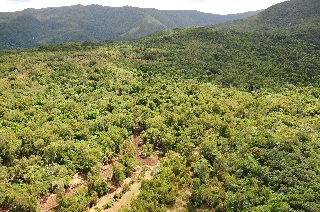 Photo de l'aire protégée : 8a818603679fb79b0167a1372188002a Communes : Bourail par 