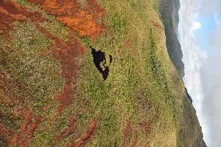 Photo de l'aire protégée : 8a818603679fb79b0167a1371eaf001c Communes : Yaté, Mont-Dore par 