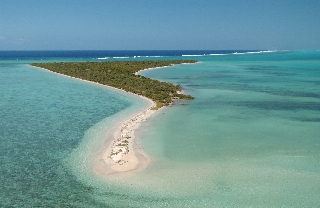 Îlot Ténia