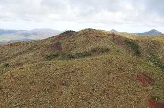 Photo de l'aire protégée : 8a818603679fb79b0167a1371eaf001c Communes : Yaté, Mont-Dore parMartial Dosdane 