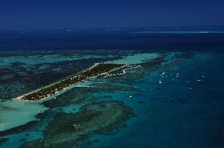 Photo de l'aire protégée : 8a818603679fb79b0167a1372f2c0066 Communes : Nouméa parMartial Dosdane 