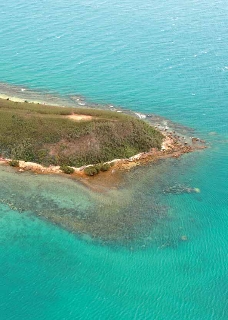 Photo de l'aire protégée : 8a818603679fb79b0167a1372fee006a Communes : Nouméa parMartial Dosdane 