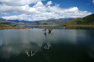 Photo de l'aire protégée : 8a818603679fb79b0167a1373058006c Communes : Yaté parMartial Dosdane 