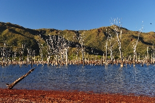 Photo de l'aire protégée : 8a818603679fb79b0167a1371a23000c Communes : Yaté, Mont-Dore parMartial Dosdane 