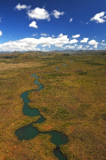 Photo de l'aire protégée : 8a818603679fb79b0167a1371a23000c Communes : Yaté, Mont-Dore parMartial Dosdane 