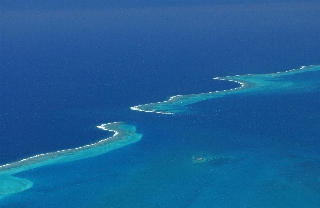 Photo de l'aire protégée : 8a818603679fb79b0167a1371fd00022 Communes : Nouméa parMartial Dosdane 