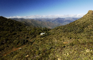 Photo de l'aire protégée : 8a818603679fb79b0167a13720e60026 Communes : Thio, Boulouparis, Paita, Yaté parMartial Dosdane 