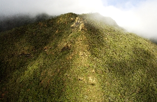Photo de l'aire protégée : 8a818603679fb79b0167a13721fd002c Communes : Yaté parMartial Dosdane 