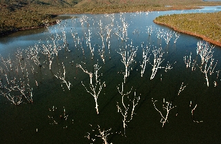 Photo de l'aire protégée : 8a818603679fb79b0167a1372a1d004a Communes : Yaté, Mont-Dore parMartial Dosdane 