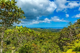 Photo de l'aire protégée : 8a818603679fb79b0167a137249f0034 Communes : Moindou, Farino, Sarraméa parMartial Dosdane 