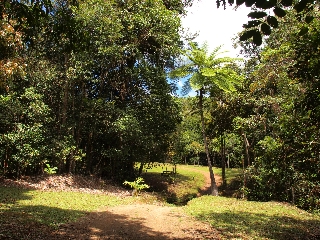 Photo de l'aire protégée : 8a818603679fb79b0167a137249f0034 Communes : Moindou, Farino, Sarraméa parMartial Dosdane 