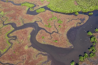 Photo de l'aire protégée : 8a818603679fb79b0167a13726d90038 Communes : Poya, Bourail, Moindou, Farino, Sarraméa, La Foa, Boulouparis parMartial Dosdane 
