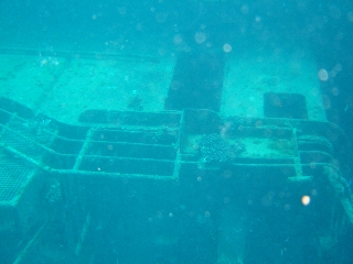 Photo de l'aire protégée : 8a818603679fb79b0167a1372766003a Communes : Nouméa par 