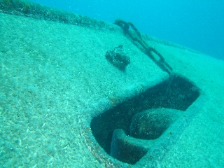 Photo de l'aire protégée : 8a818603679fb79b0167a1372766003a Communes : Nouméa par 