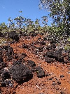 Photo de l'aire protégée : 8a818603679fb79b0167a1372839003e Communes : Mont-Dore par 
