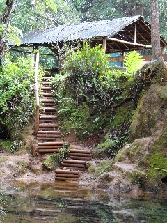 Photo de l'aire protégée : 8a818603679fb79b0167a1372839003e Communes : Mont-Dore par 