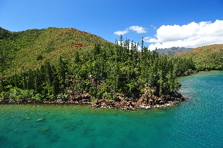 Photo de l'aire protégée : 8a818603679fb79b0167a137295b0044 Communes : Thio parMartial Dosdane 