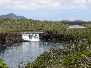 Photo de l'aire protégée : 8a818603679fb79b0167a137298f0046 Communes : Yaté parMartial Dosdane 