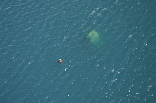 Photo de l'aire protégée : 8a818603679fb79b0167a1372d32005a Communes : Mont-Dore parMartial Dosdane 