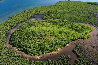 une photo de aérienne Îlot Nü Pwérigo par Martial Dosdane