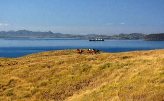 une photo de aérienne Île Ducos par Martial Dosdane
