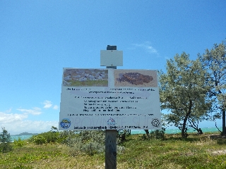 une photo de aérienne Îlot Konduyo par Isabelle Jurquet