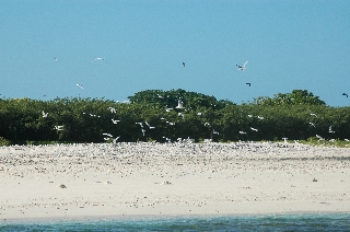 Une photographie érienne de Îlot Totéapar Patrice Plichon