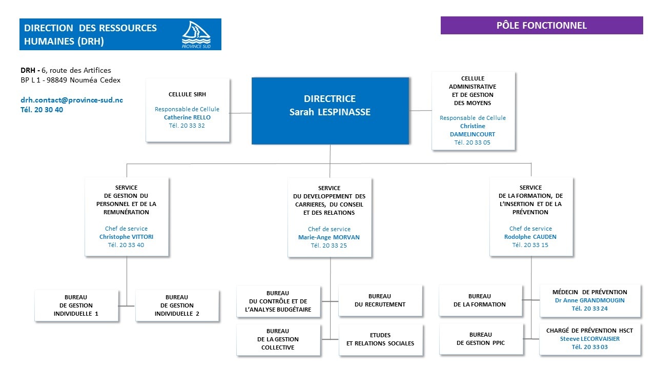 Modèle DOrganigramme DRH FPT Guide Complet - Problemes