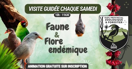 Faune & Flore endémique : visite guidée au Parc Provincial Zoologique et Forestier