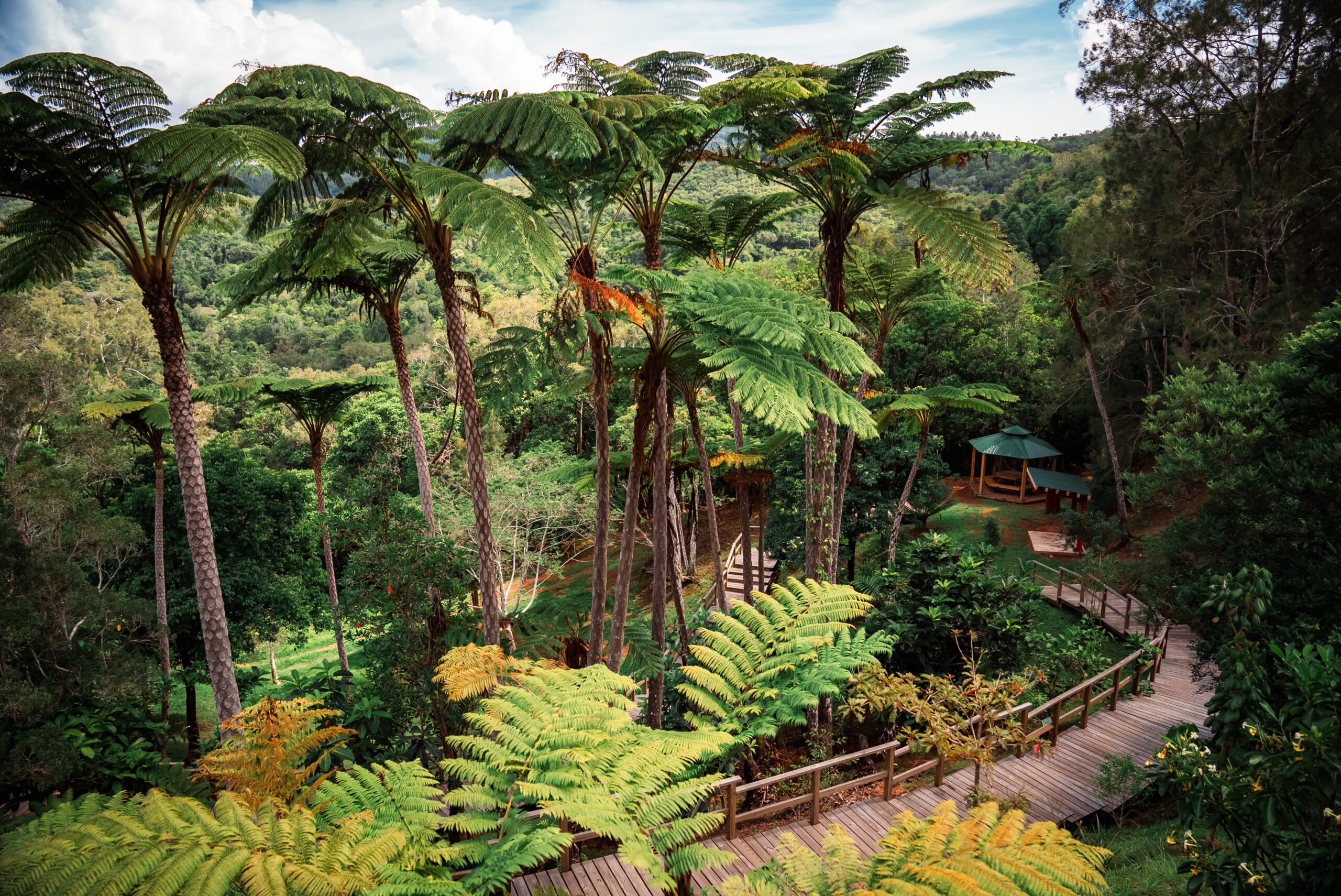 photo de : L’arboretum